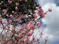 天神社(下小針)(愛知県)