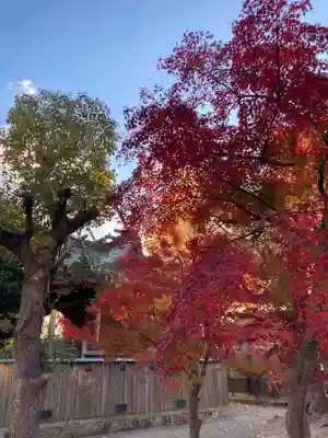 呉服神社の自然