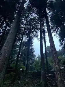 大宮温泉神社(栃木県)(2023年10月09日(月) 17時12分21秒投稿)