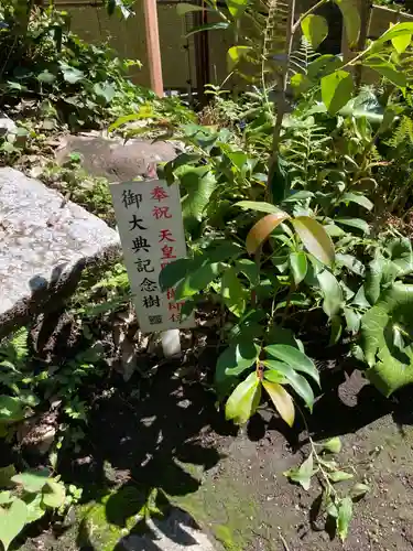 銭洗弁財天宇賀福神社の庭園