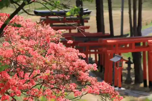 高屋敷稲荷神社の景色