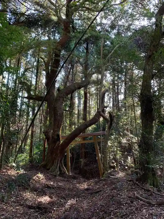 小川神社の鳥居
