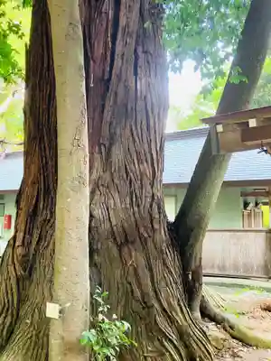 鴨鳥五所神社(茨城県)