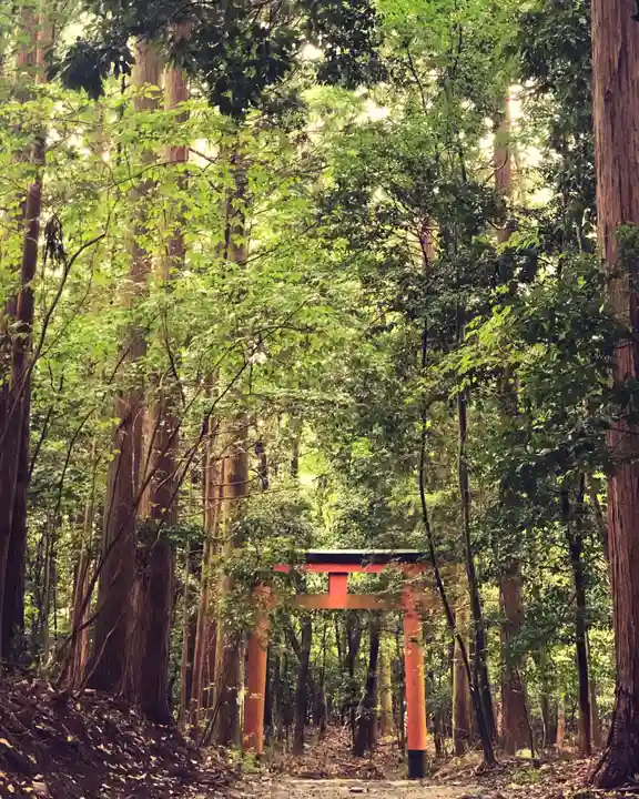 御蔭神社の鳥居