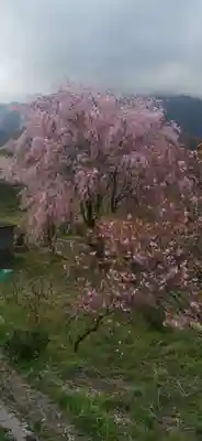 西善寺(埼玉県)