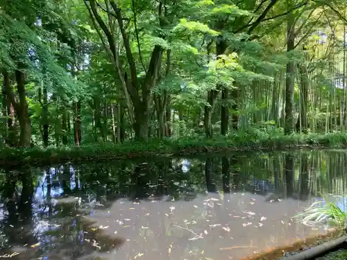 中尊寺 弁財天堂(岩手県)