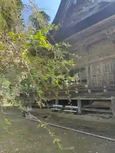 国上寺(新潟県)(2025年04月23日(水) 10時16分59秒投稿)