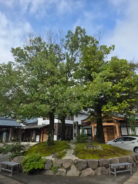 御誕生寺(猫寺)(福井県)