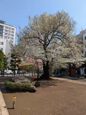 霊雲寺(東京都)