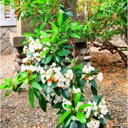 彌彦神社　(伊夜日子神社)の自然
