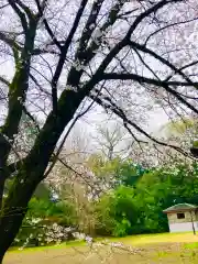 日先神社の自然