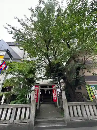 さくら稲荷(東京都)