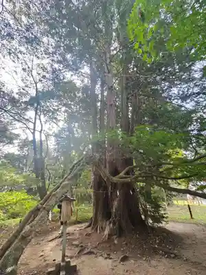 伊佐須美神社(福島県)