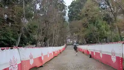 醍醐寺(京都府)