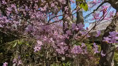 霊源院(京都府)