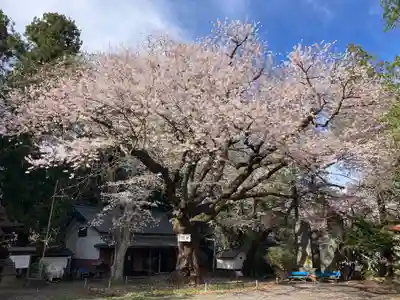 長者山新羅神社の庭園