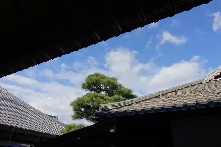 智積院の景色