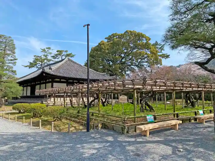 平等院の庭園