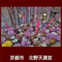 北野天満宮の手水舎