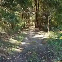 沼尾神社の自然