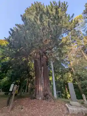 西明寺(栃木県)