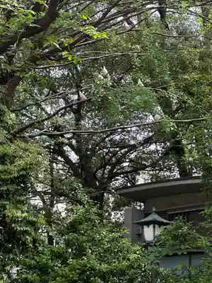靖國神社(東京都)