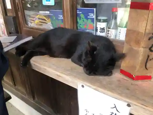 梅宮大社(京都府)