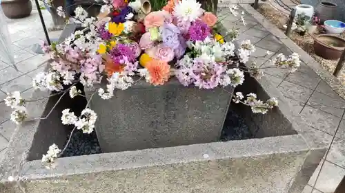 勝林寺の手水舎