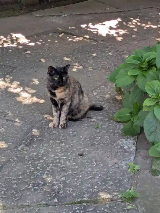 善養寺(東京都)