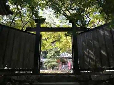 二尊院の山門・神門