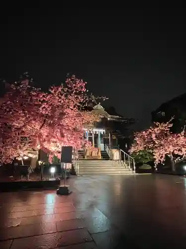 桜神宮(東京都)