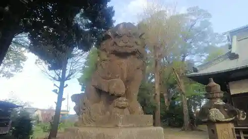 梅宮神社の狛犬