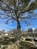 大池八大竜王社の{uncategorized: "未分類", other: "その他", undefined: "問題あり", building: "その他建物", grave: "お墓", sacred_gate: "鳥居", guardian: "狛犬", statue: "像", buddha: "仏像", history: "歴史", nature: "自然", garden: "庭園", animal: "動物", pagoda: "塔", temizu: "手水舎", mountain_gate: "山門・神門", sanctuary: "本殿・本堂", subordinate: "末社・摂社", art: "芸術", scenery: "景色", jizo: "地蔵", ema: "絵馬", goshuin: "御朱印", omikuji: "おみくじ", items: "授与品その他", amulet: "お守り", goshuincho: "御朱印帳", eats: "食事", festival: "お祭り", votive_dance: "神楽", shichigosan: "七五三参", wedding: "結婚式", experience: "体験その他", initially: "初詣", around: "周辺", anti_infection: "感染症対策"}