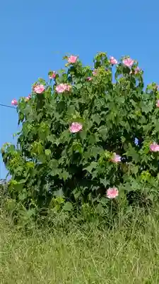 法然寺(京都府)