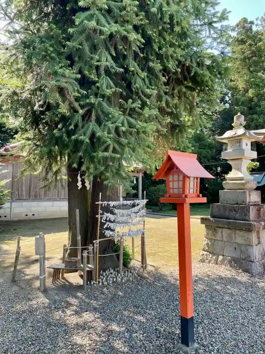 長沼八幡宮(栃木県)