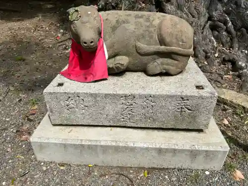 上宮天満宮の{uncategorized: "未分類", other: "その他", undefined: "問題あり", building: "その他建物", grave: "お墓", sacred_gate: "鳥居", guardian: "狛犬", statue: "像", buddha: "仏像", history: "歴史", nature: "自然", garden: "庭園", animal: "動物", pagoda: "塔", temizu: "手水舎", mountain_gate: "山門・神門", sanctuary: "本殿・本堂", subordinate: "末社・摂社", art: "芸術", scenery: "景色", jizo: "地蔵", ema: "絵馬", goshuin: "御朱印", omikuji: "おみくじ", items: "授与品その他", amulet: "お守り", goshuincho: "御朱印帳", eats: "食事", festival: "お祭り", votive_dance: "神楽", shichigosan: "七五三参", wedding: "結婚式", experience: "体験その他", initially: "初詣", around: "周辺", anti_infection: "感染症対策"}