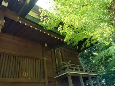 鎮守氷川神社(埼玉県)
