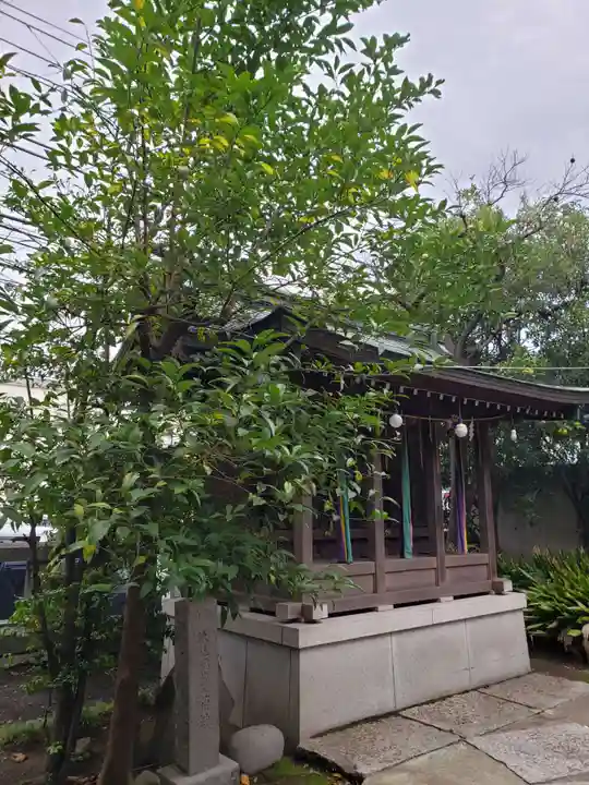 青山熊野神社(東京都)