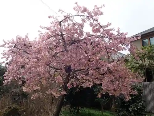 荏柄天神社(神奈川県)