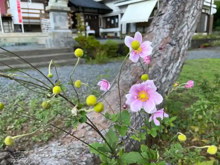 高尾山薬王院の自然