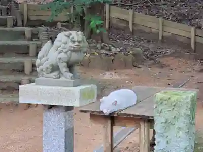 舞子若宮神社の動物