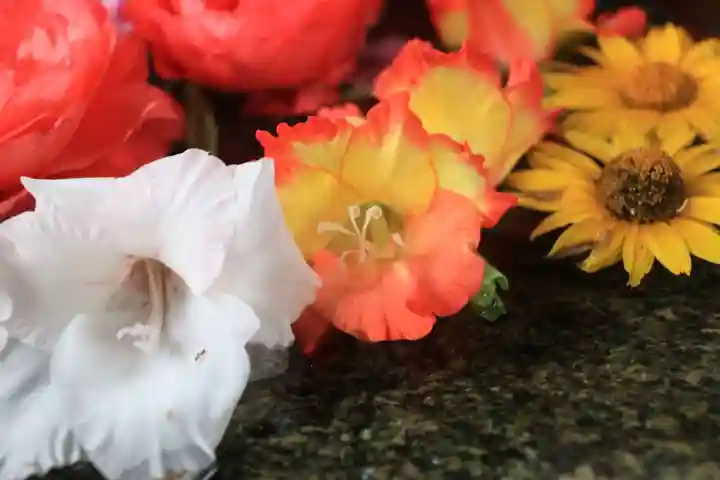 田村神社の手水舎