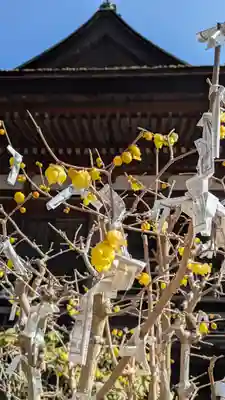 長命寺(滋賀県)