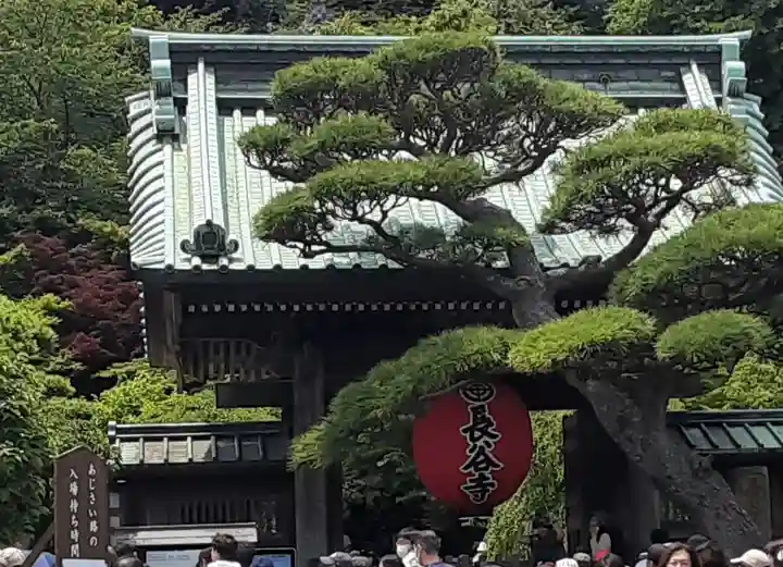 長谷寺(神奈川県)