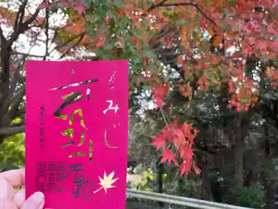 可愛いピンクの切り絵御朱印💕✨