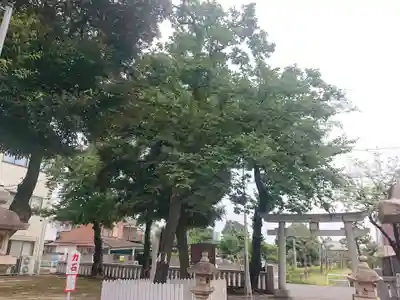 新曽氷川神社(埼玉県)