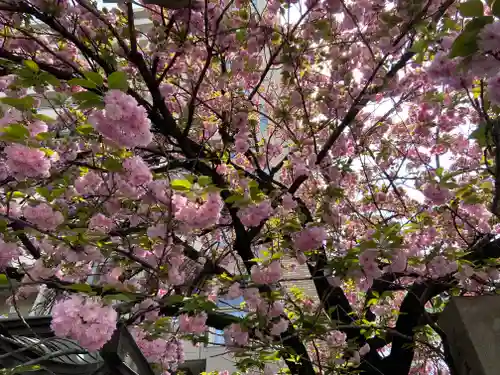 白龍神社(愛知県)