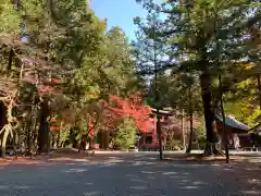 北口本宮冨士浅間神社の自然