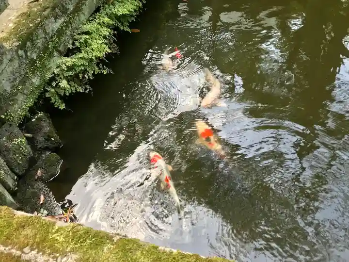祓所神社(静岡県)