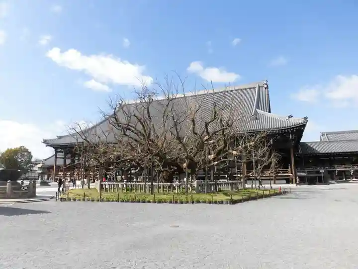 本願寺(西本願寺)(京都府)